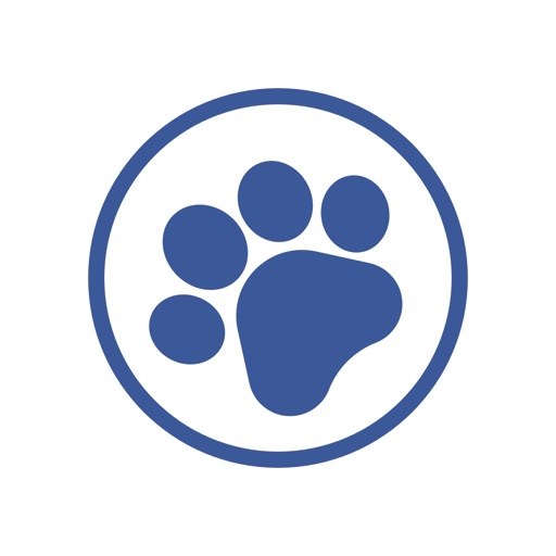 TapTapTask — Score & Rewards